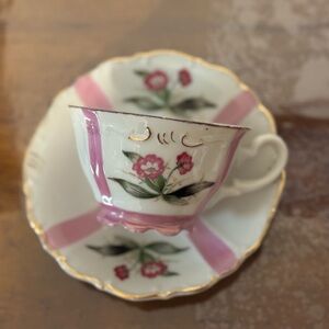 Salisbury Floral Pink and White Teacup and Saucer